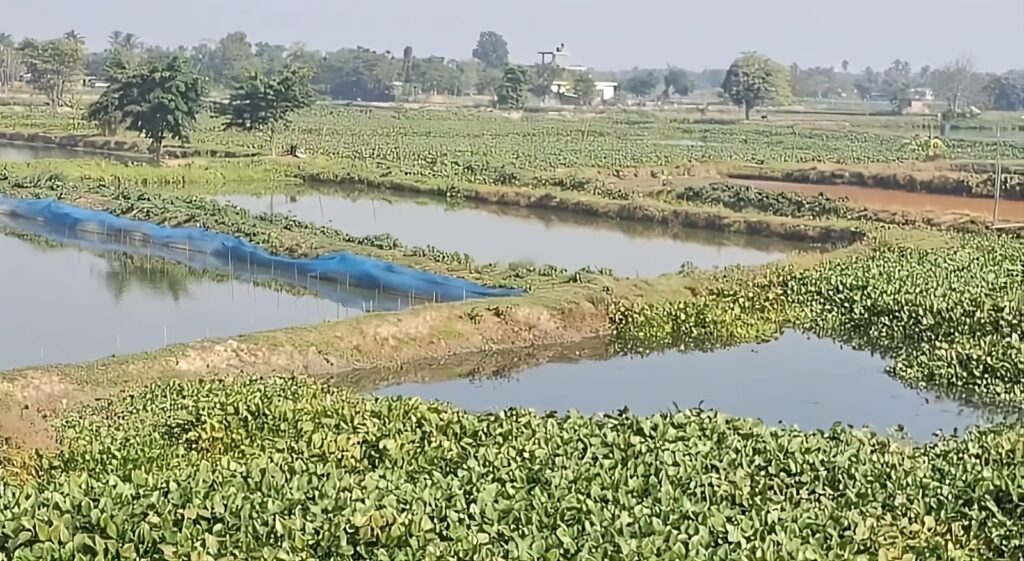 Three Day Eviction Drive in Nagaon District to Clear Government Land in Central Assam