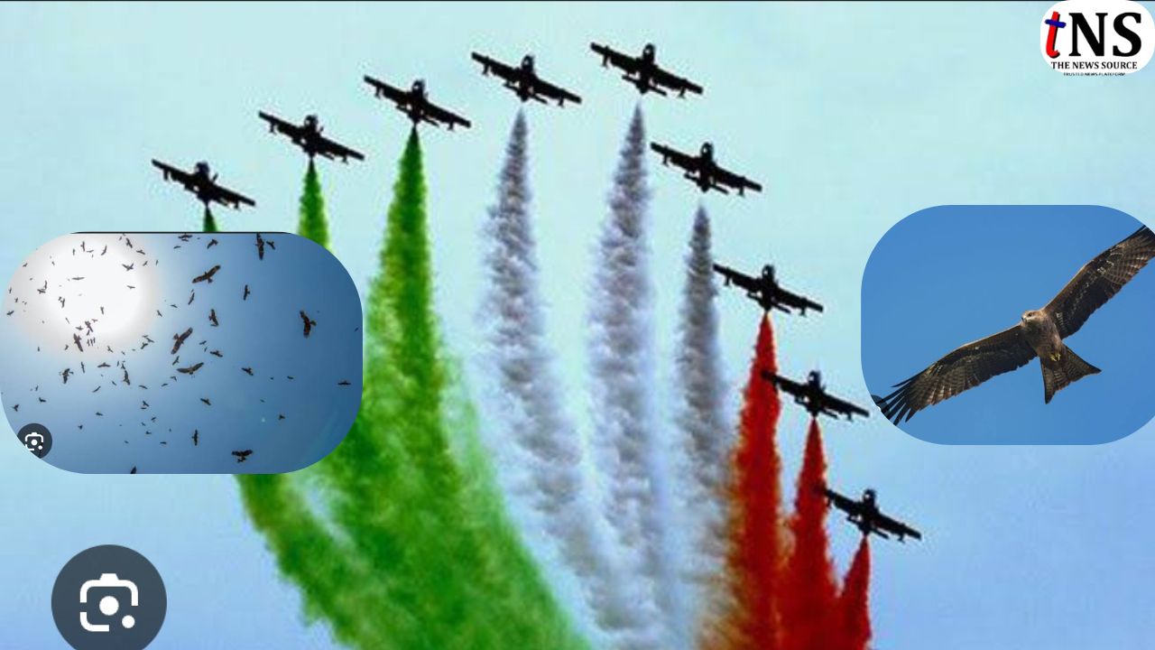 Chicken Meat Used for Rafale Aircraft Bird Strike Prevention Ahead of Republic Day