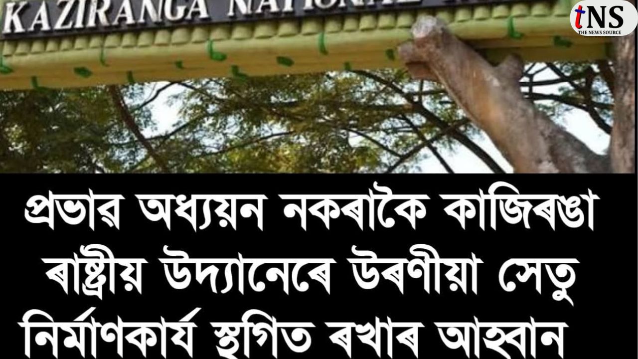 Ellora Science Forum Demands Impact Study Before Elevated Corridor in Kaziranga