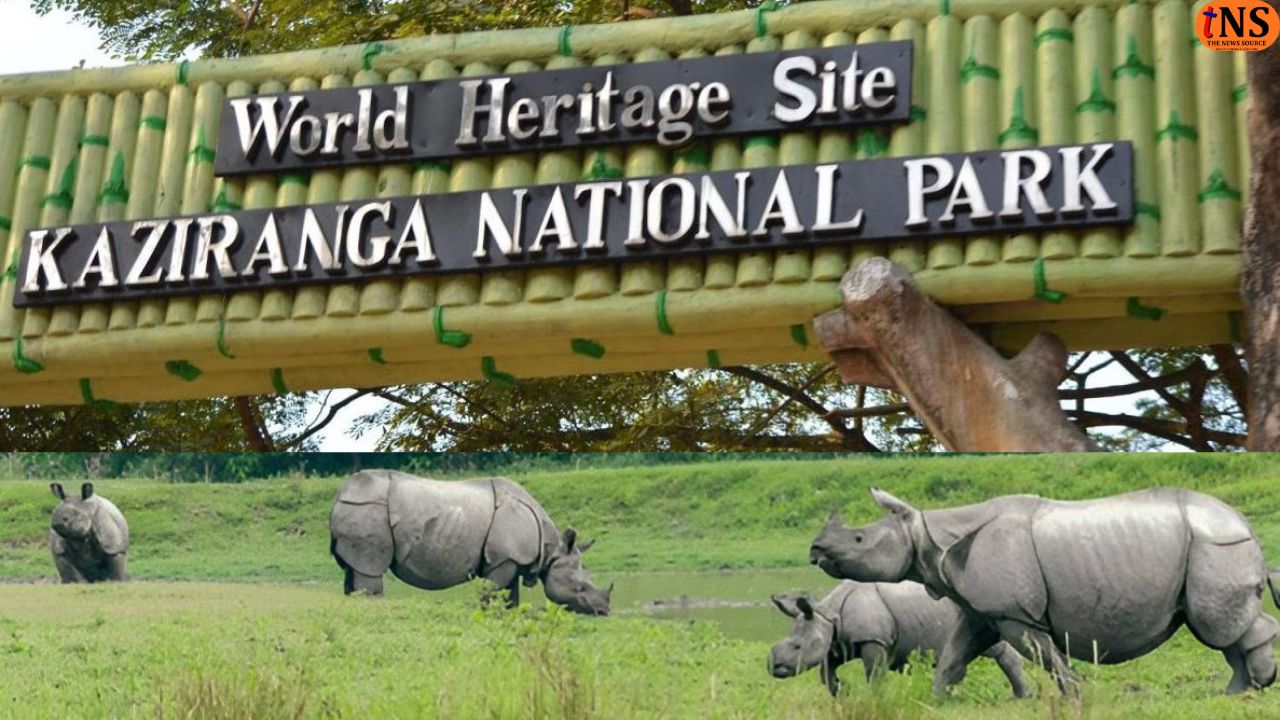 Kaziranga Rhino Poaching Free for 730 Days, Assam Achieves Zero Poaching Milestone