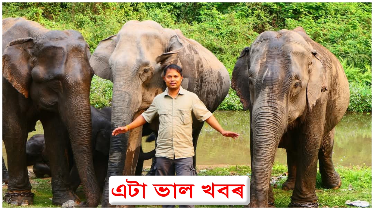 Binod Dulu Bora joins Project Elephant Steering Committee: A proud moment for Assam