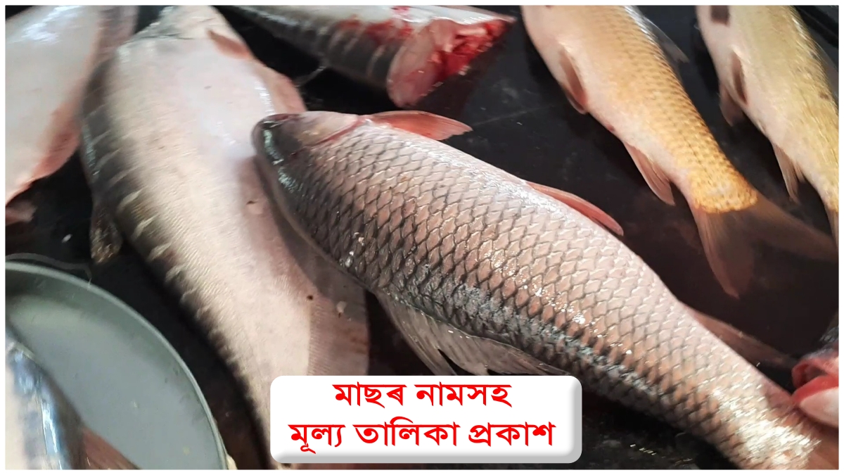 Nagaon Uruka Fish Market special fish sale ahead of Bhogali Bihu