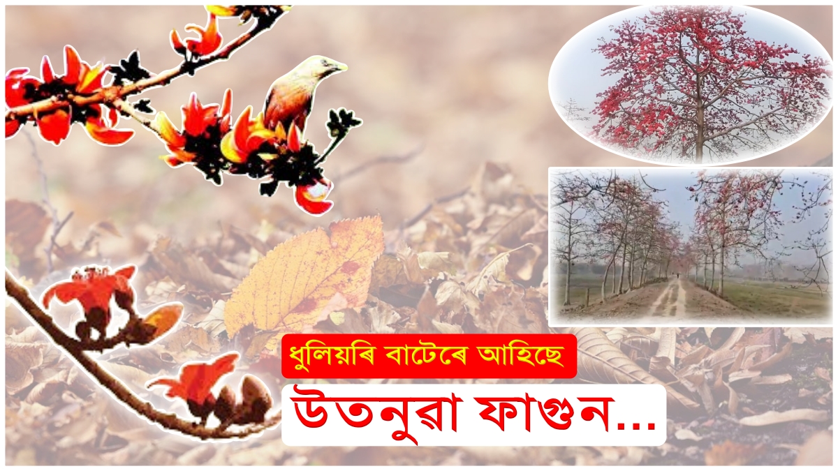 Fagun Festival in Assam: The Fiery Beauty of Spring