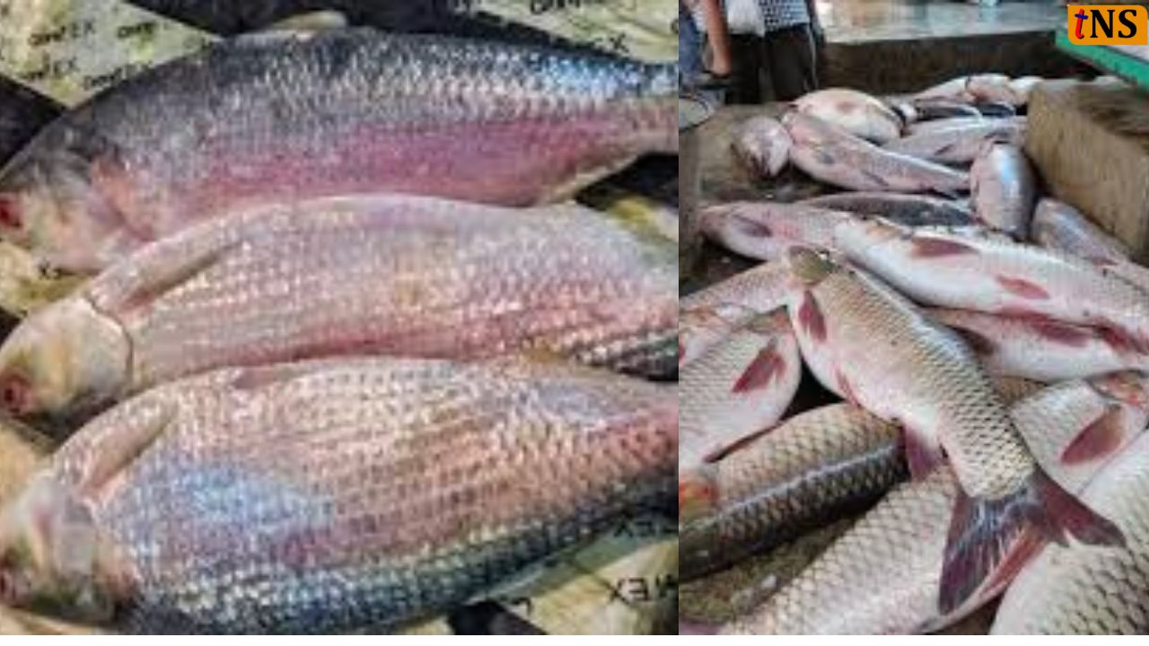 Meghalaya Imposes Ban on Illegal Bangladeshi Fish Entry in Khasi Hills