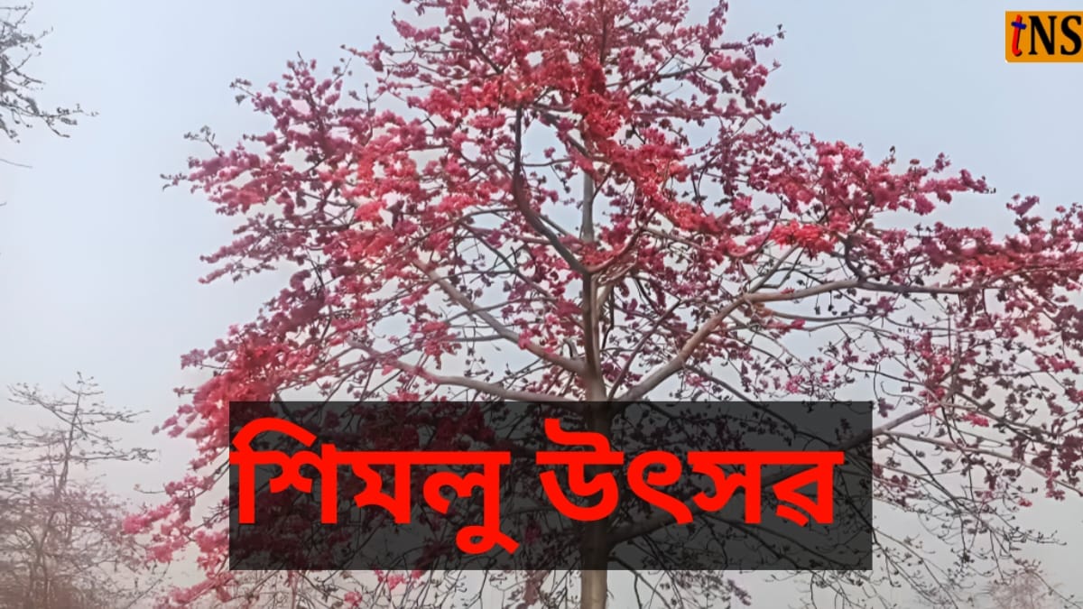 Simolu Utsav 2026 Celebrates Spring Amid the Red Bloom of Laokhowa-Burachapori