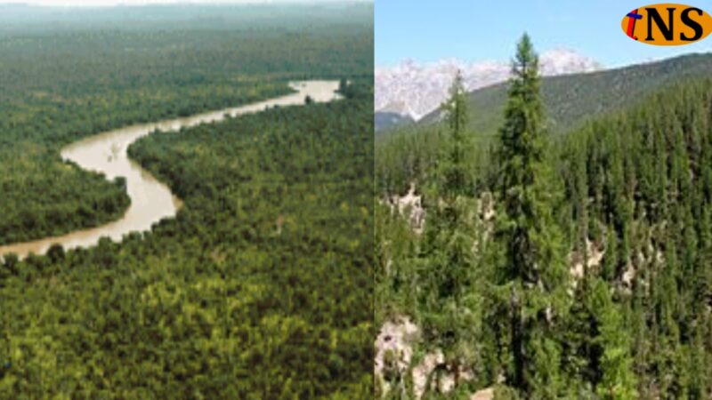 International Day for Biological Diversity Observed Across the World