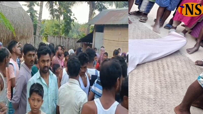 Wild Elephant Attack in Nagaon Claims Two Lives, Three Injured in Kachua