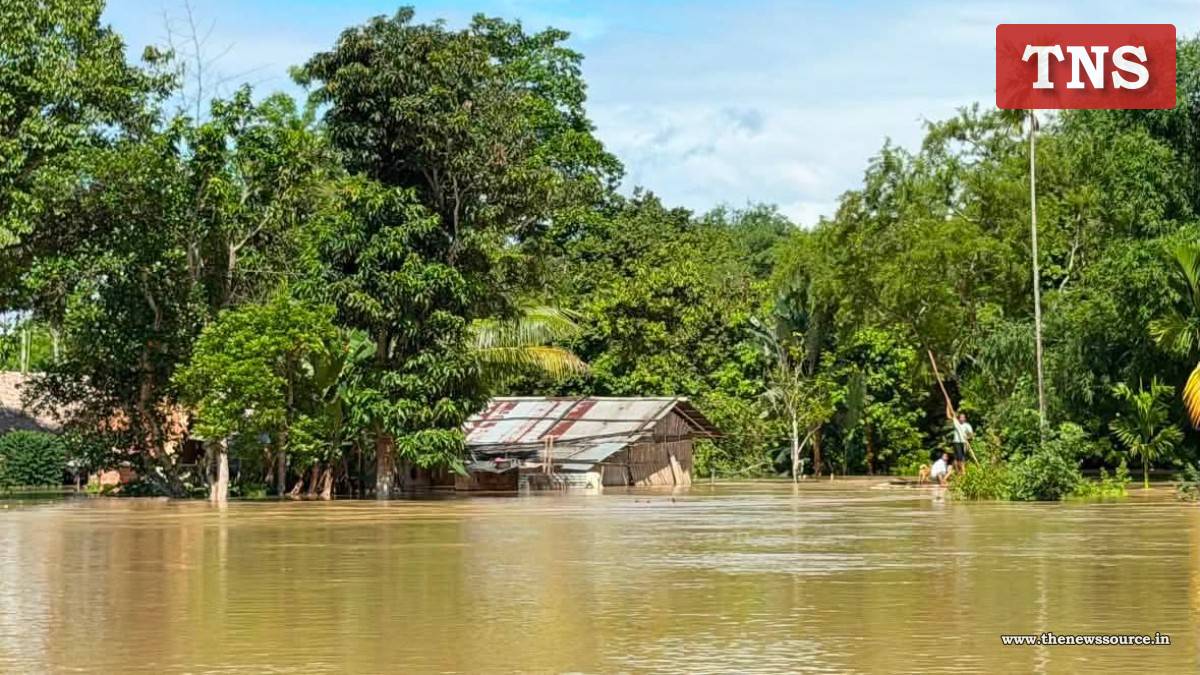 অসমত অব্যাহত বানৰ তাণ্ডৱৰ শেহতীয়া তথ্য