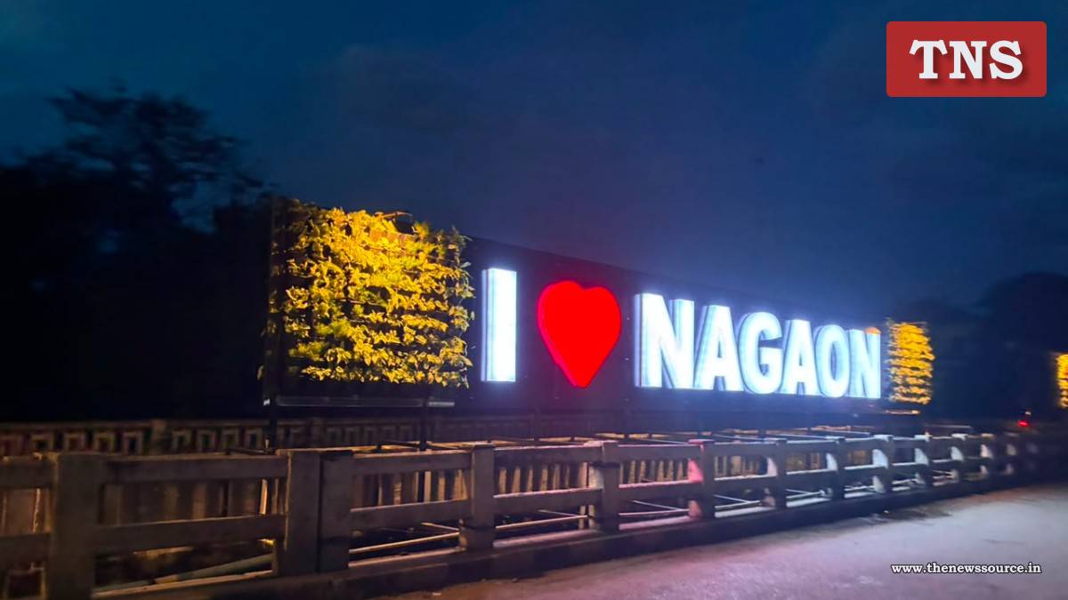 Nagaon Vertical Garden: সৌন্দৰ্যবৰ্দ্ধনৰ আৰু এখোজ নগাঁও চহৰৰ