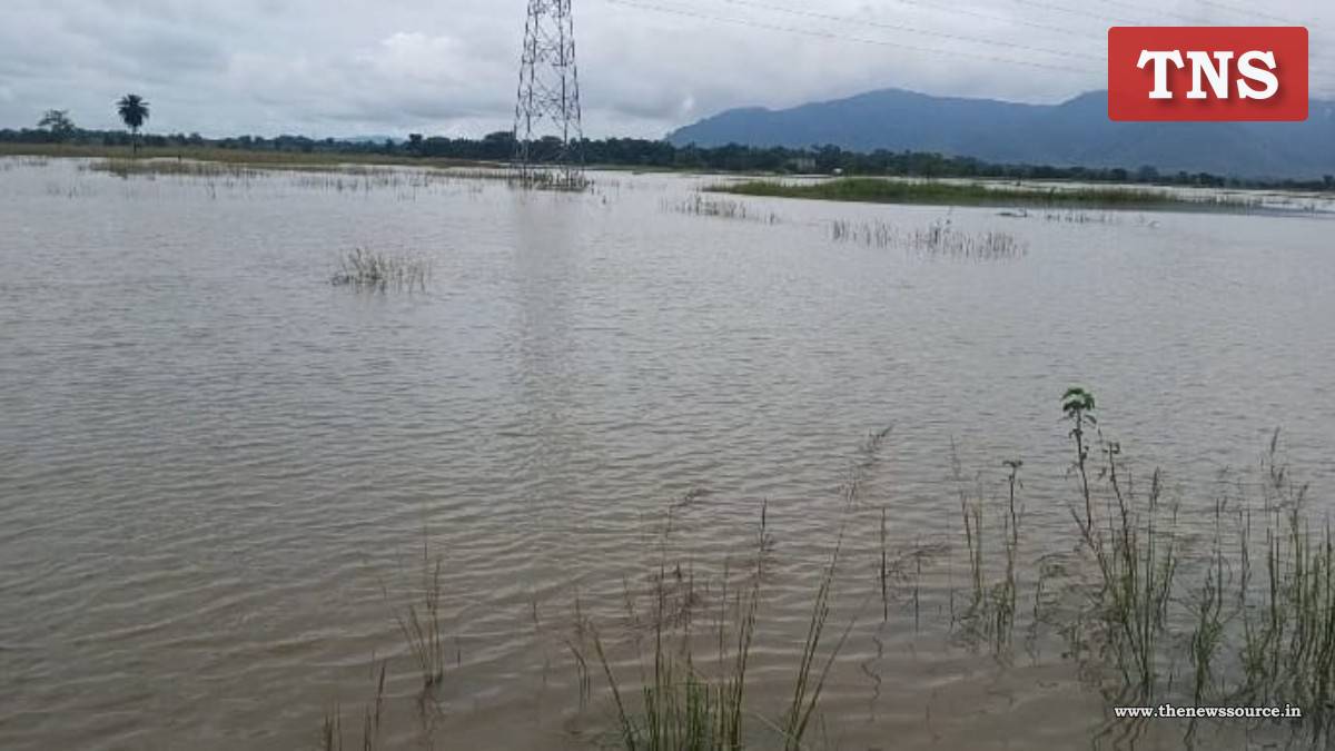 Nissari River Flood: পুনৰ বাঢ়িছে নিশাৰী নৈ পানী, বাঢ়িছে আতংক