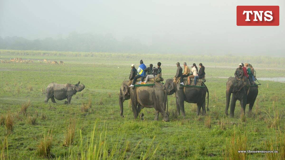 Kaziranga National Park Mobile Phone Ban: কাজিৰঙা ৰাষ্ট্ৰীয় উদ্যানত নিষিদ্ধ হ’ব মোবাইল ফোন